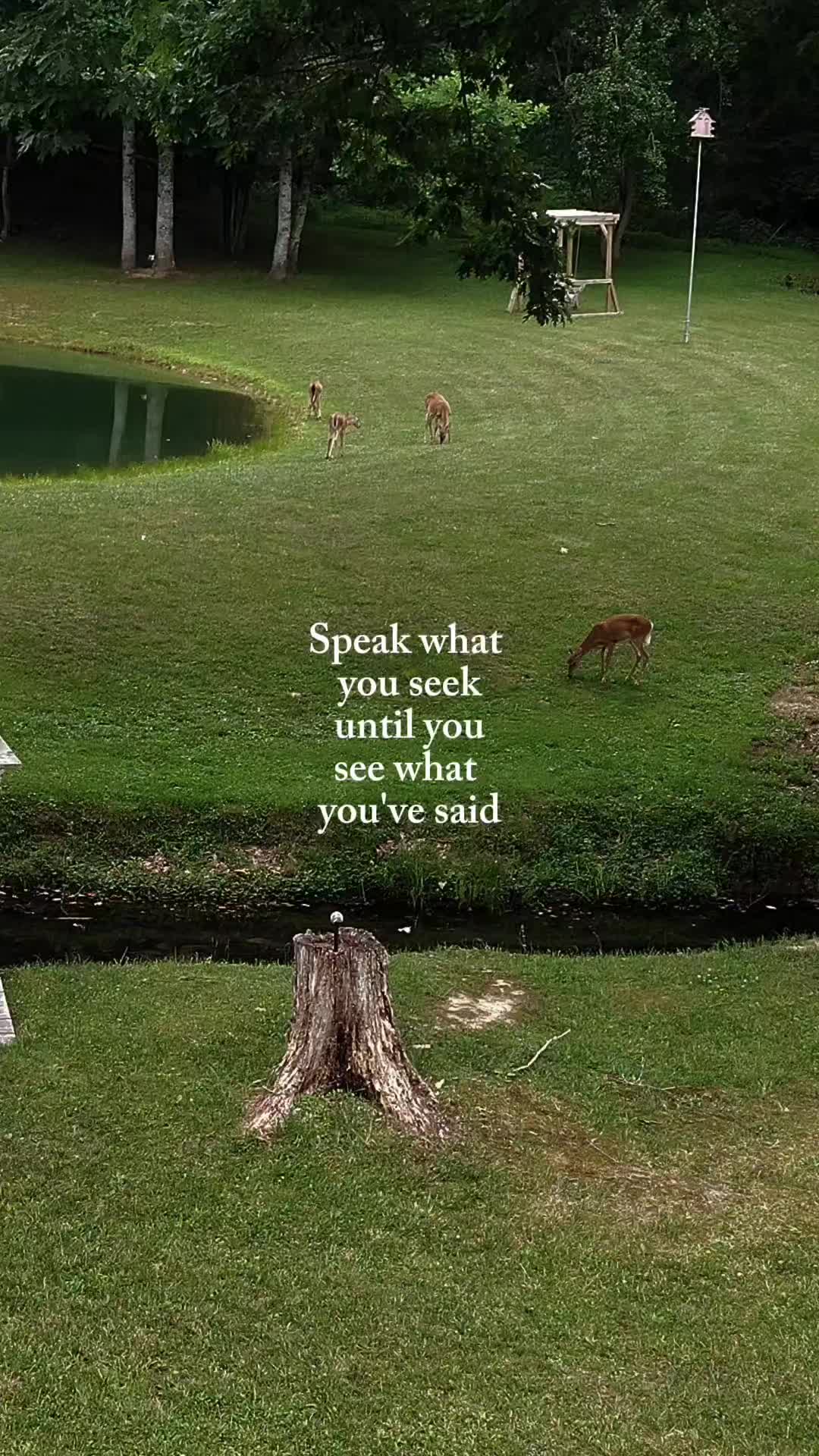 @Sara