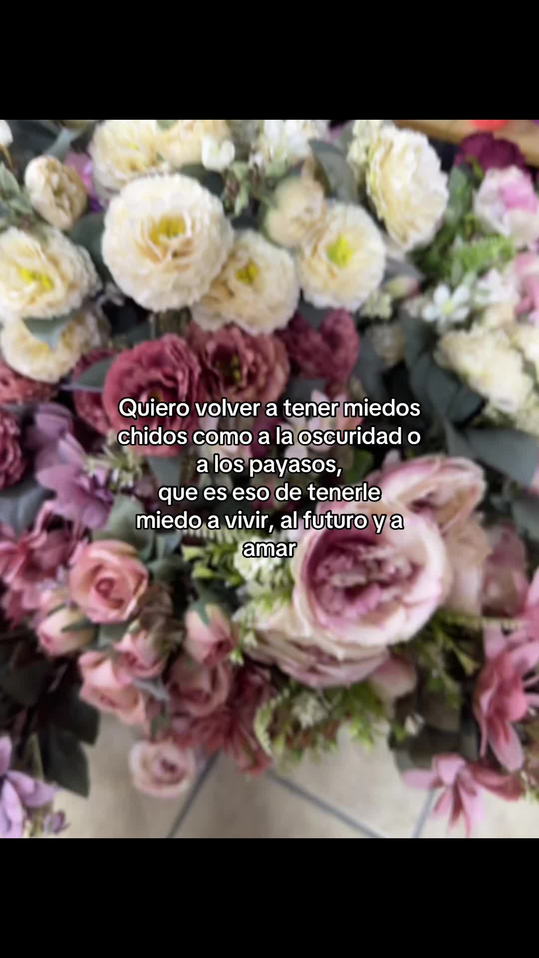 @Vayito 🌷