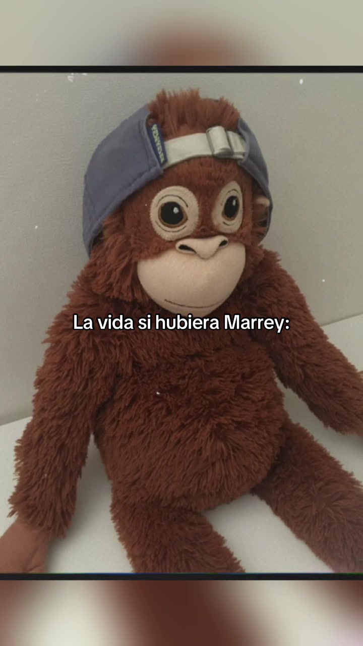 @rey_margarita.1