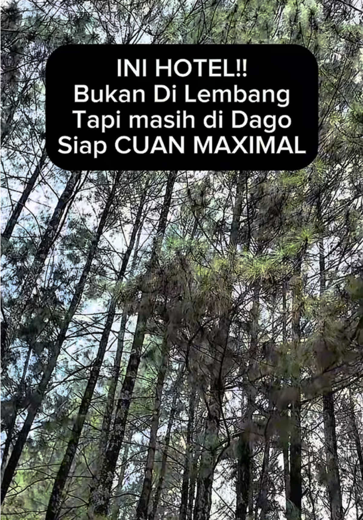 @Alung Putra