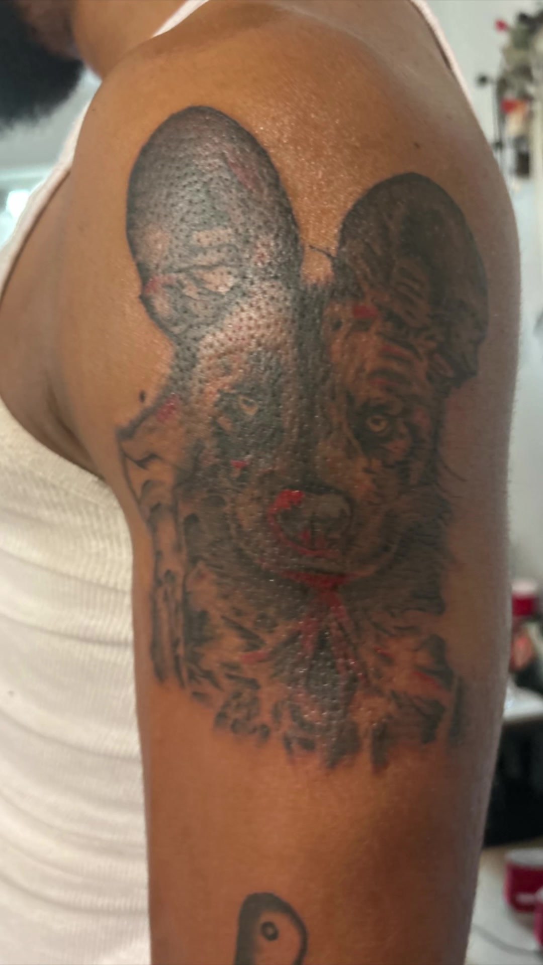 @Jayuno_daily