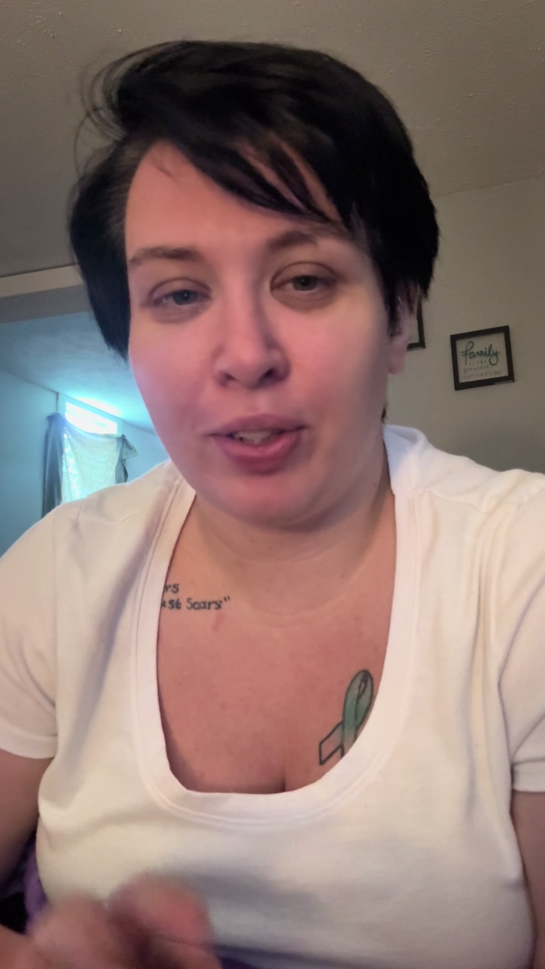 @lamisonreviews