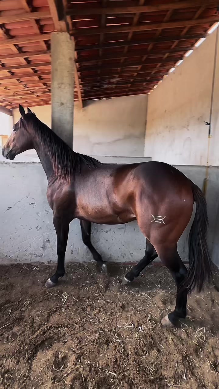 @Mário Gomes
