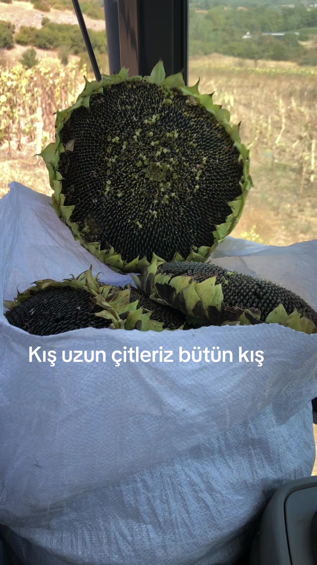 @Murat keskin