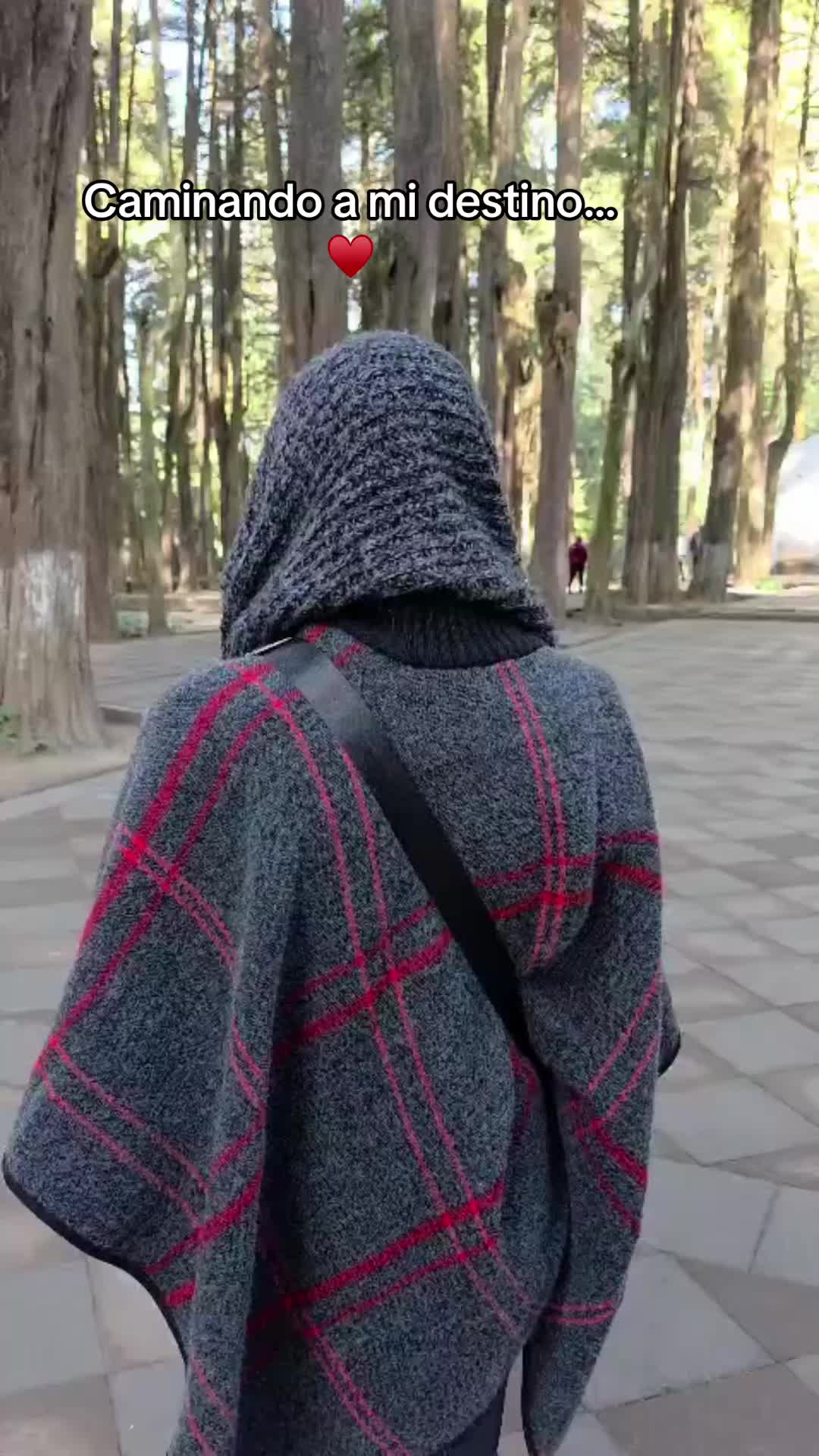 @Axel Altamirano