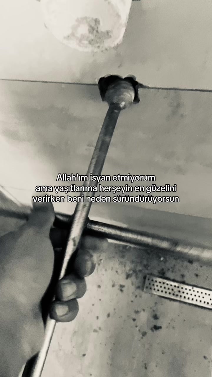 @🕊️