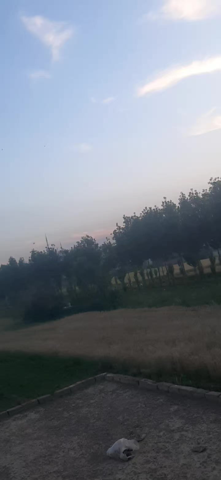 @Shumaila Akhtar