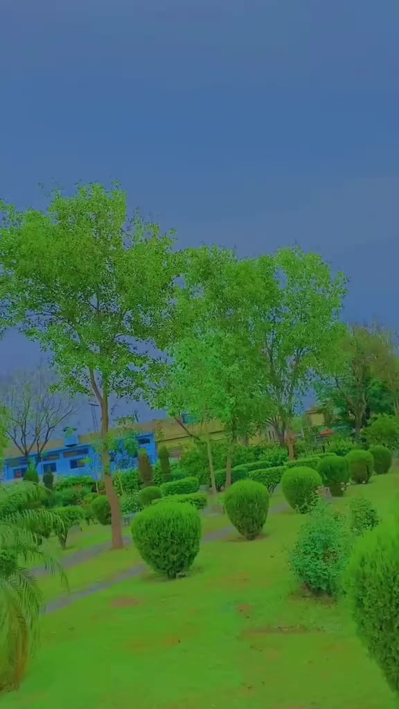 @Bilal Khanx