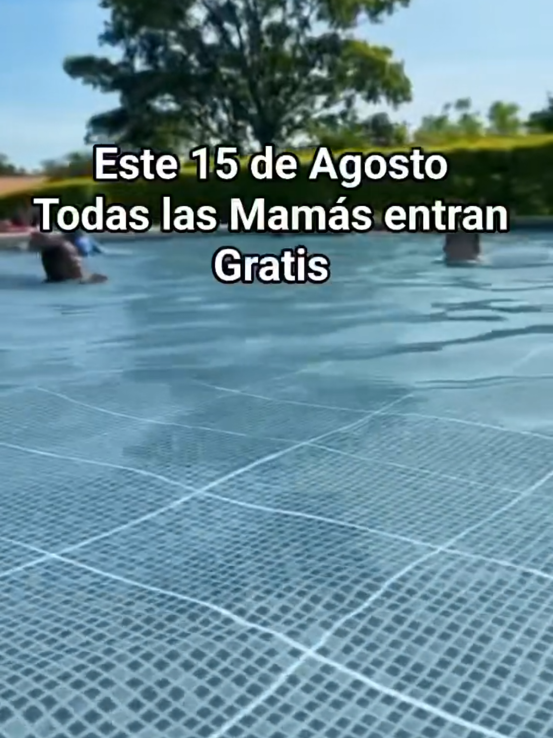 @Los Manantiales