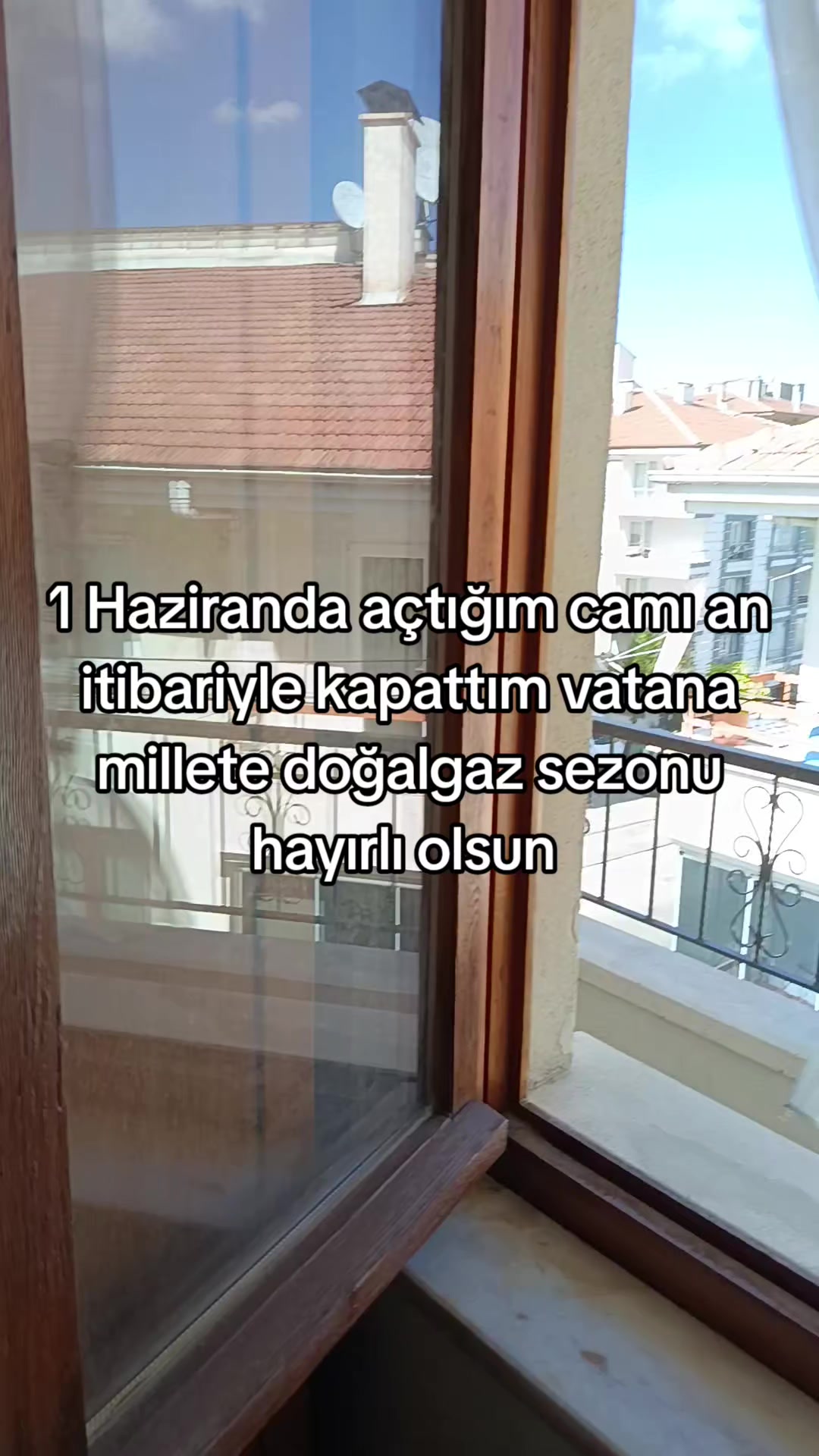 @acarlarinbilge