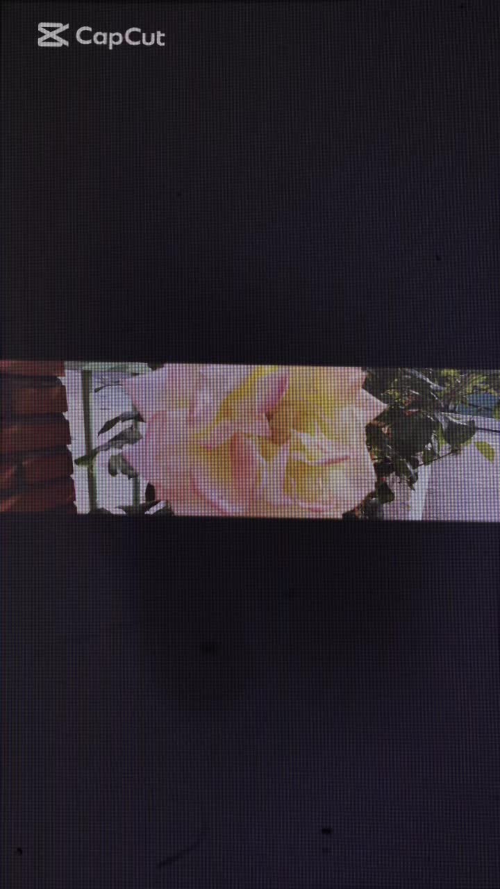 @kwang광