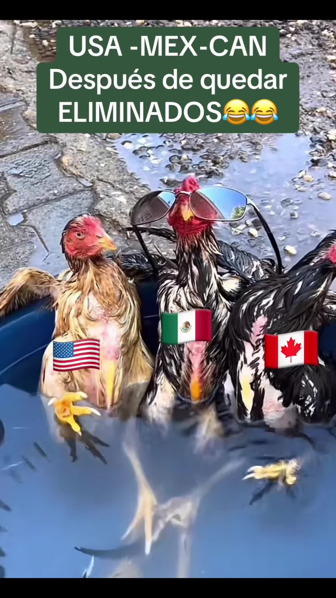 @sabormexicano00