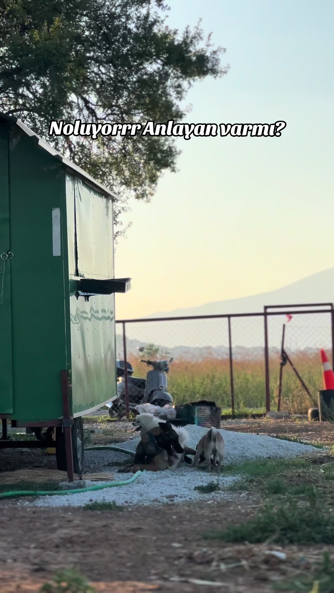 @&Ccedil;etin BATUR