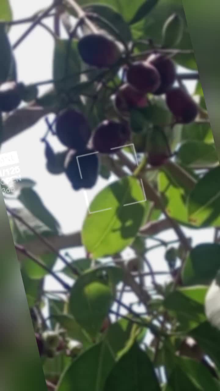 @Ashok 🥰thakur