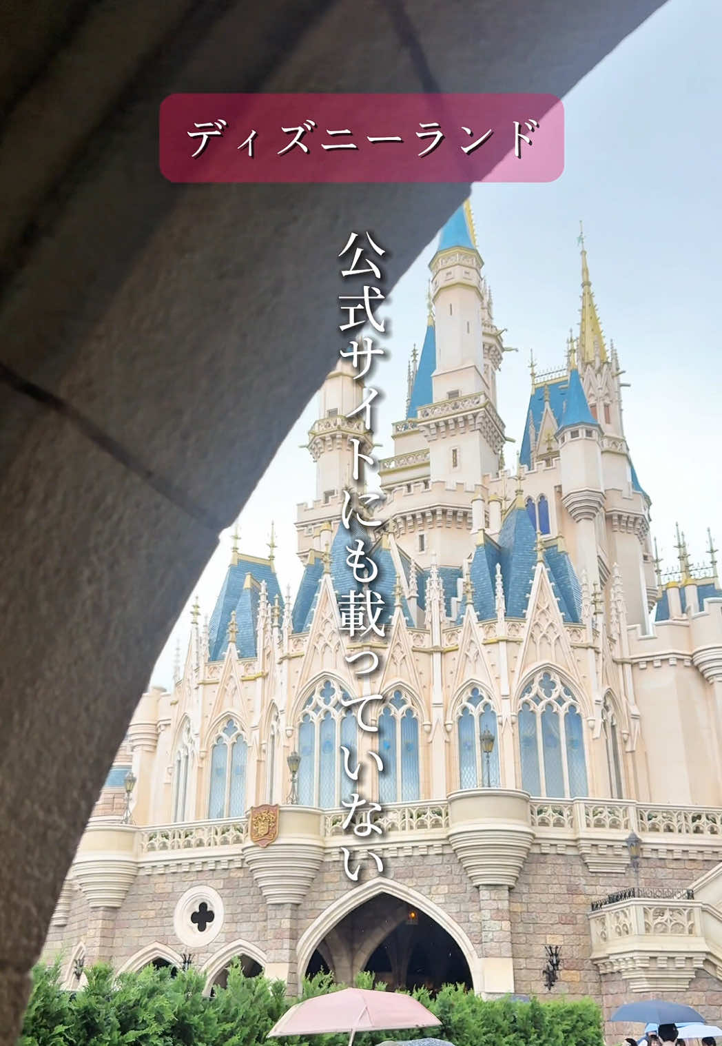 @あいこパンダ🐼大阪発グルメおでかけ