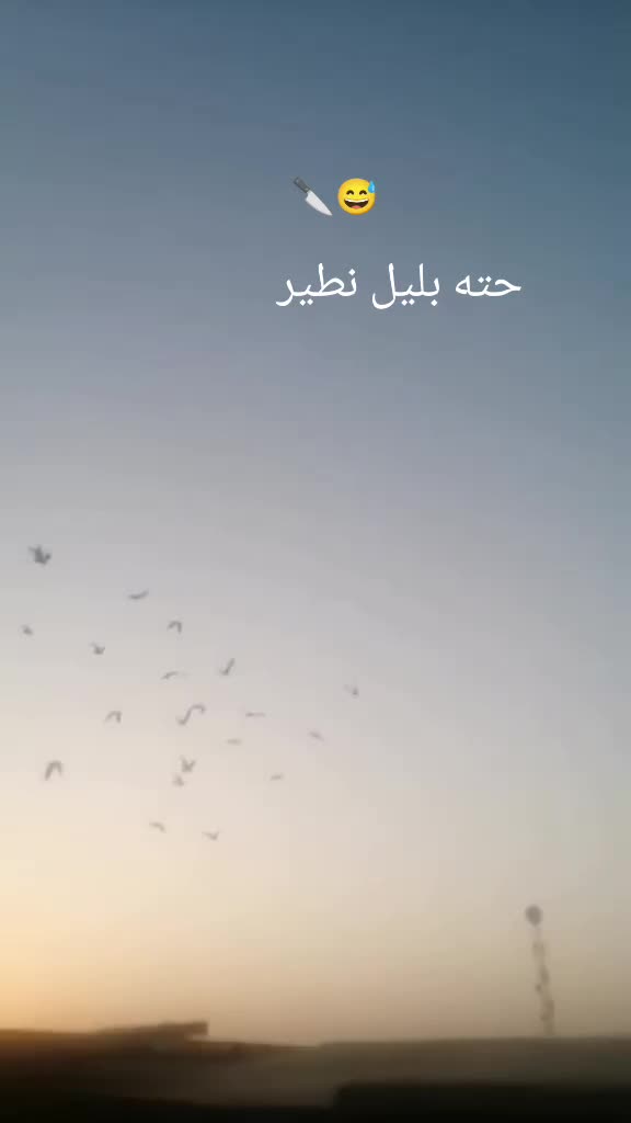 @َ🕊️🕊️