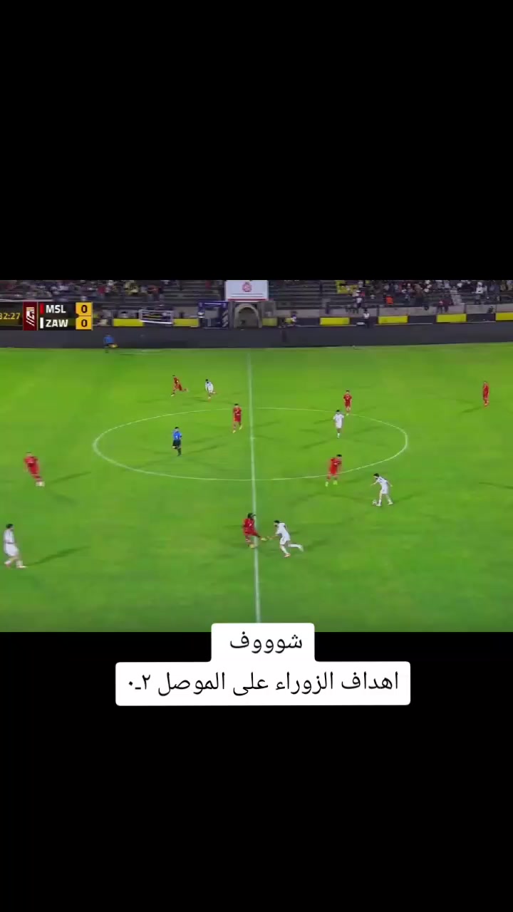 @ملعب البصرة جذع نخلة