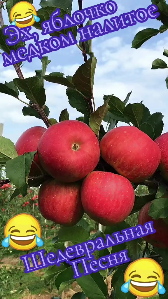 @🇷🇺❤️ТАНЮША❤️🇷🇺