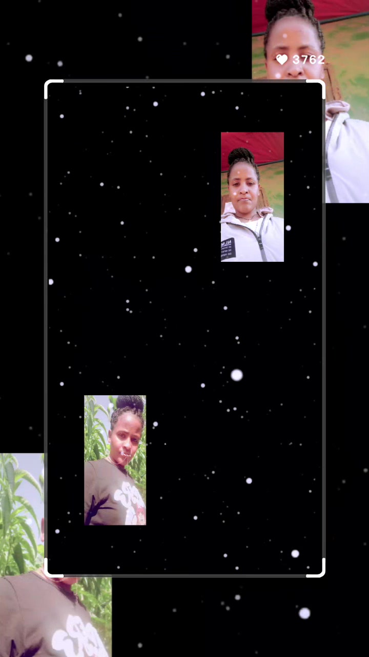 @Meseret Petros