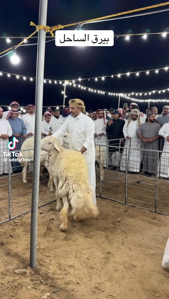 @mohamed_ksa0