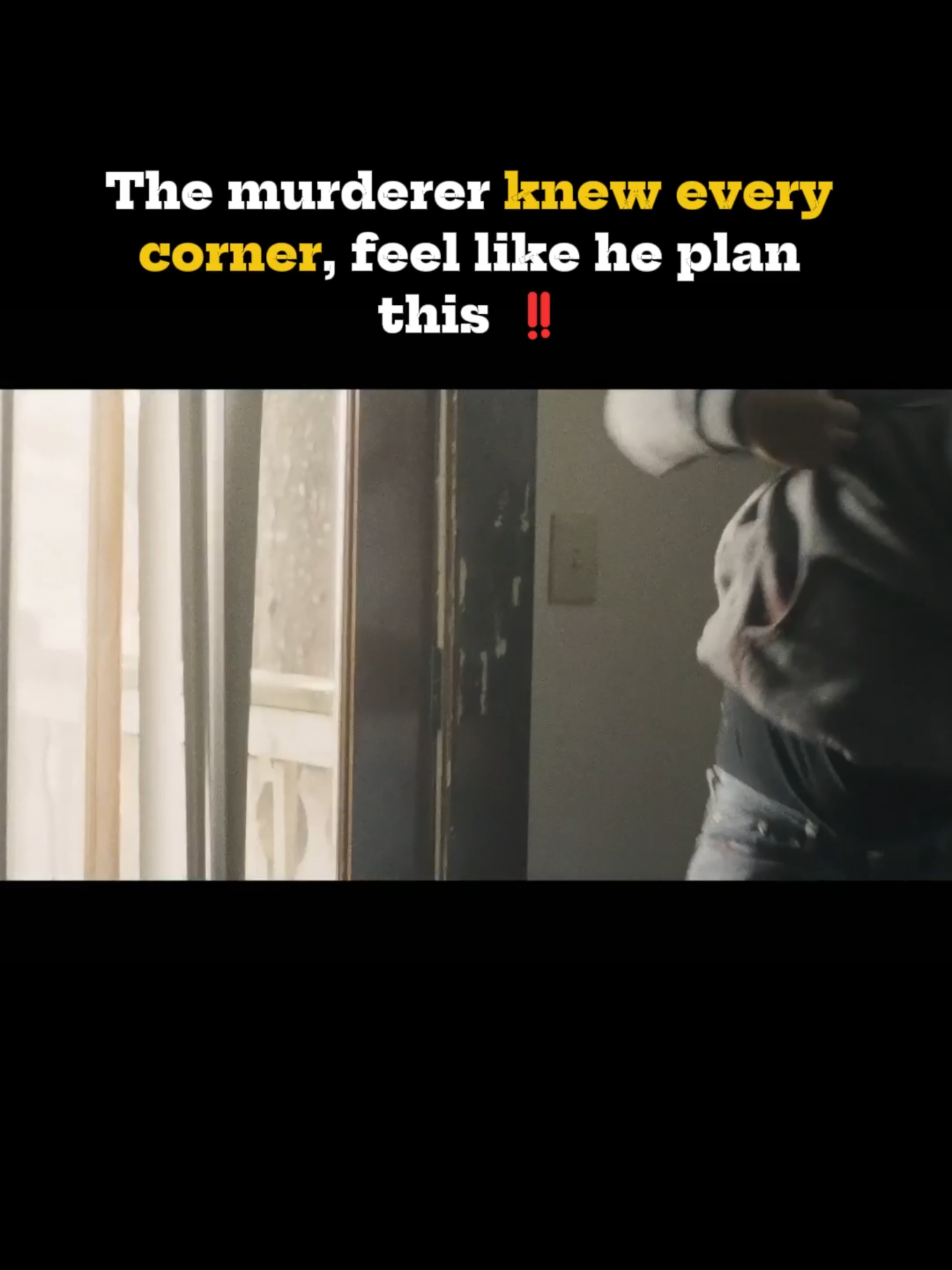 @Movie Echoes
