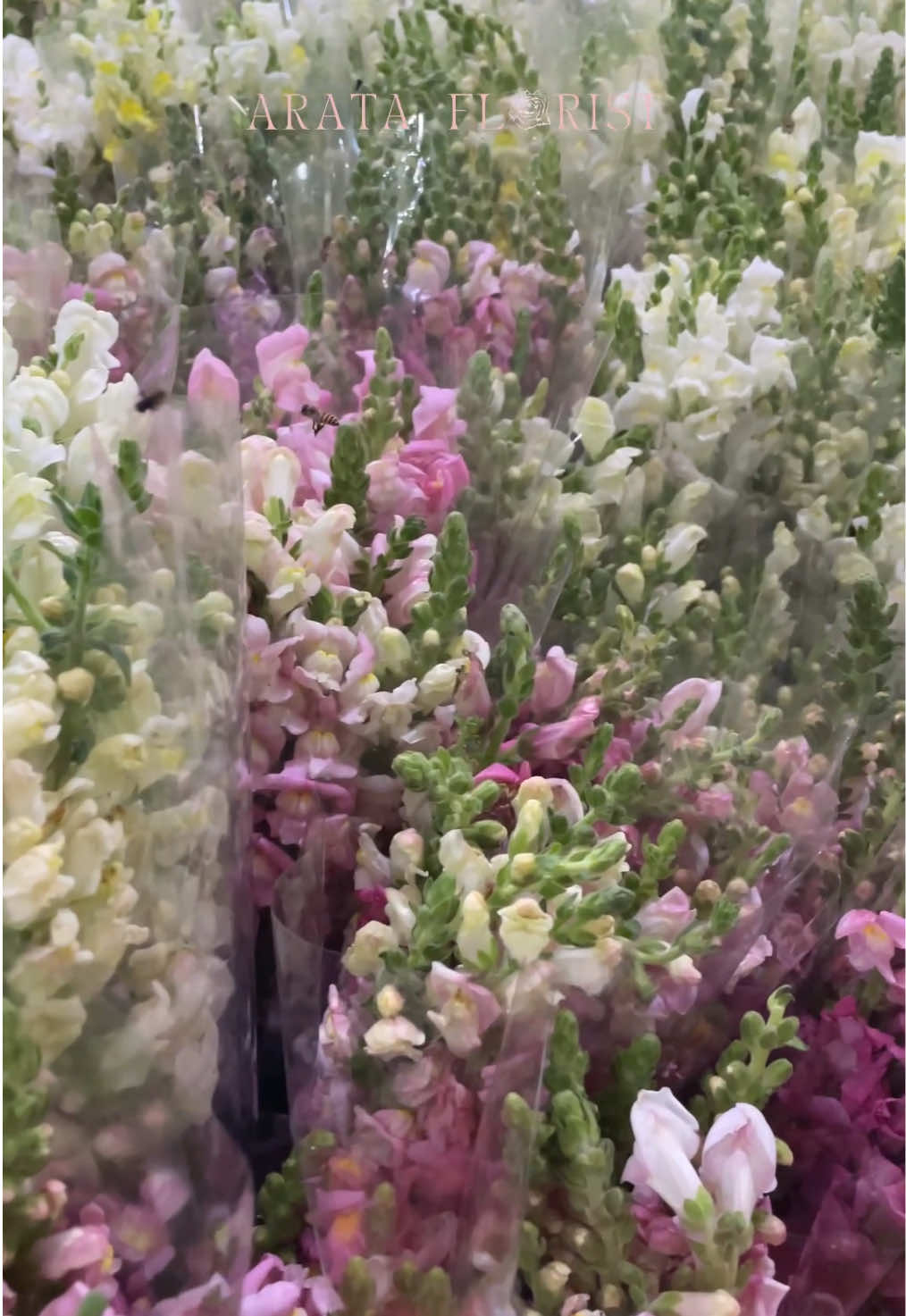@Arata Florist