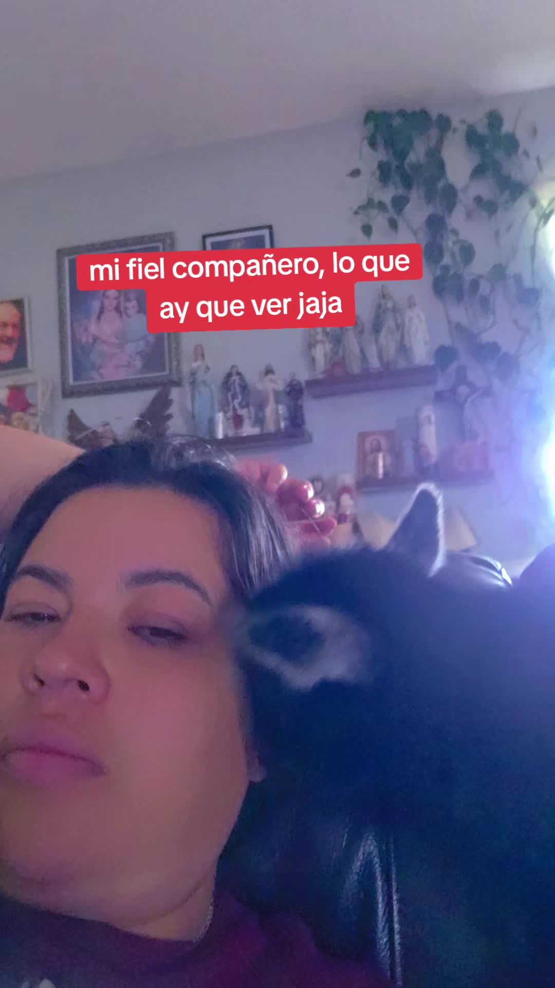 @mayte.famersRanch🐄🐃🐂🐑
