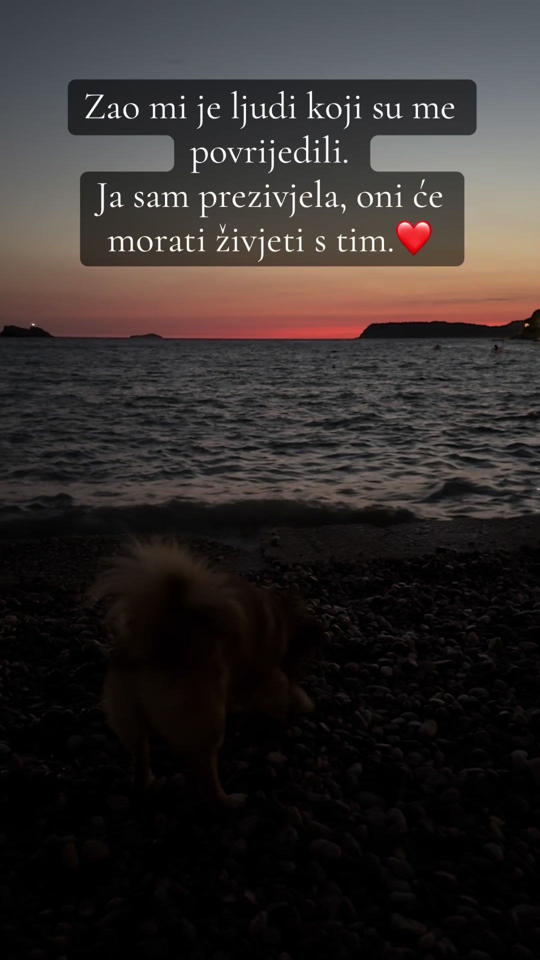 @elvisa515