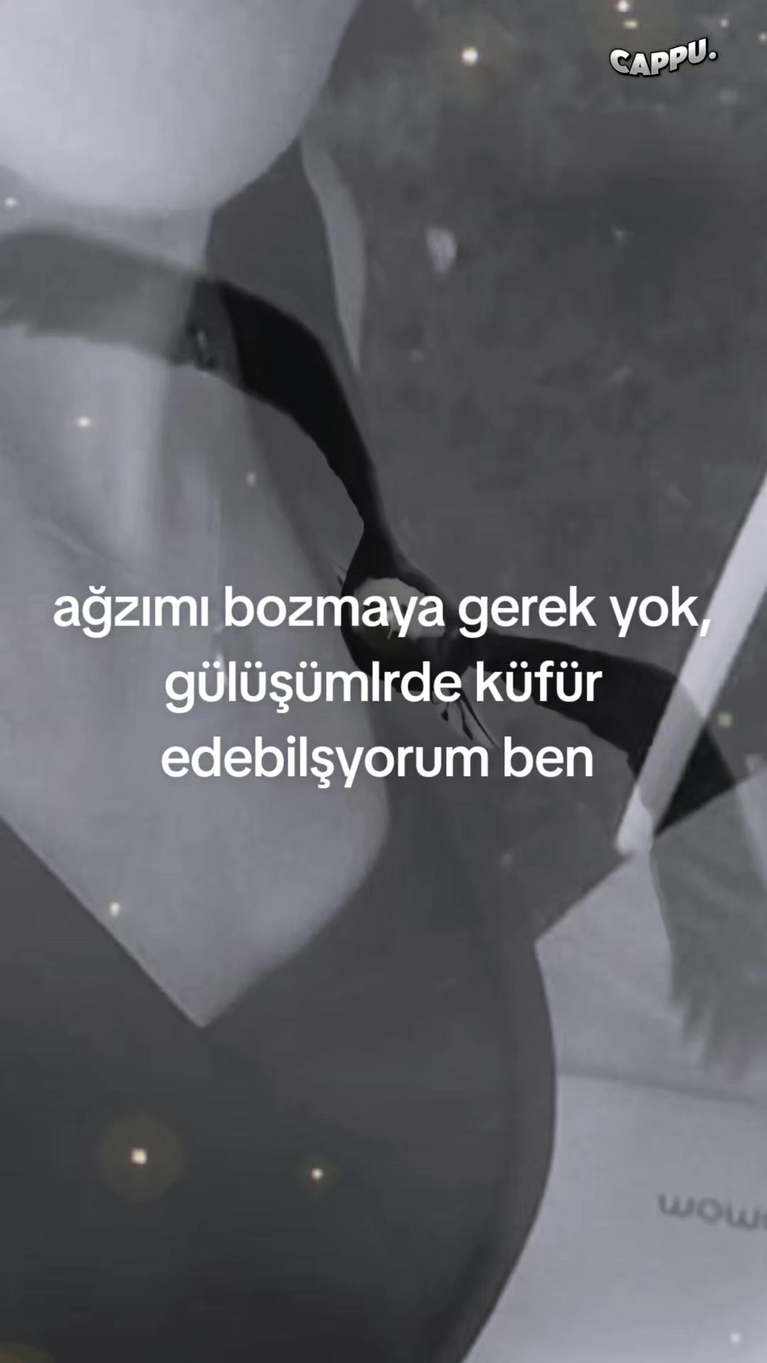 @Emine Kandırmış