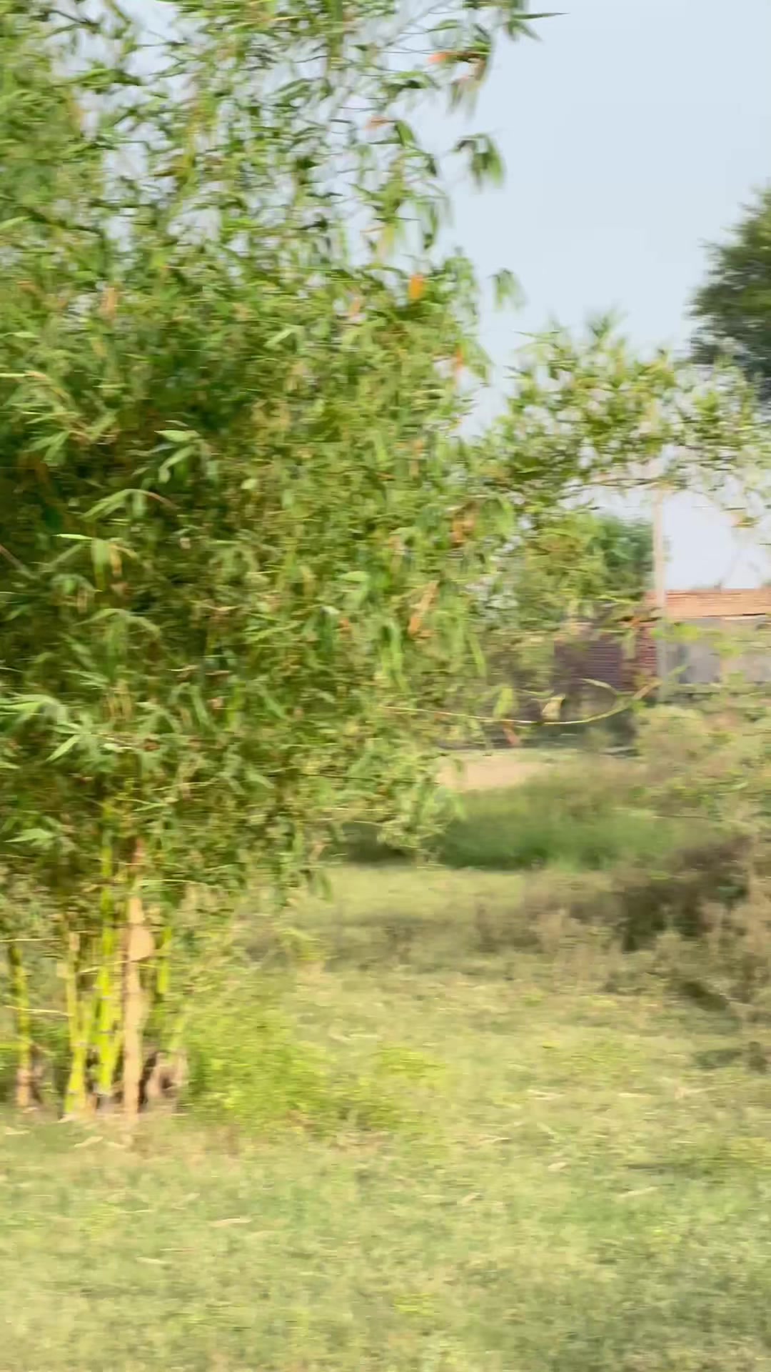 @M.HaSSaN 🇵🇰