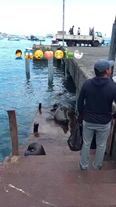 @Pedro Miguel