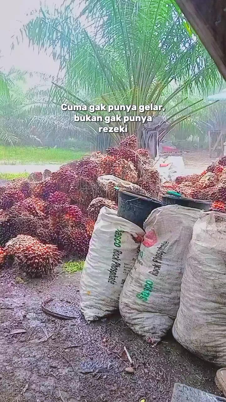 @Bg_bewok