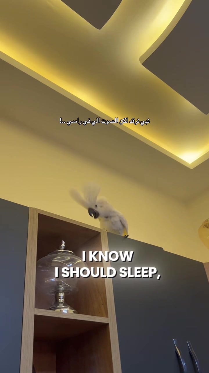 @د.وئام
