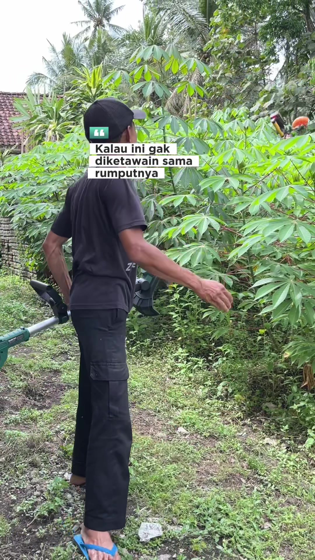 @anompriagung