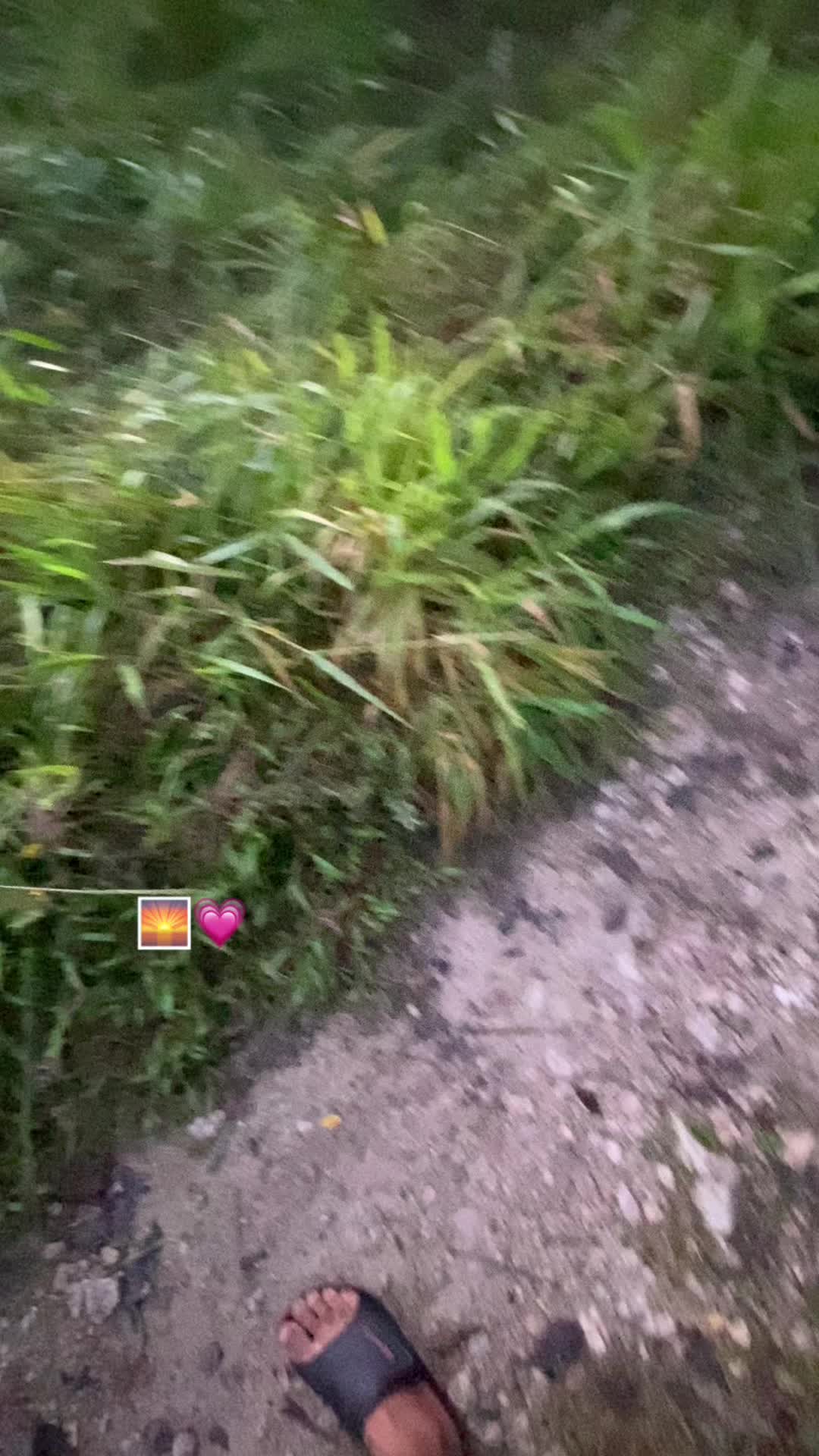 @Hernández 🧑🏽🦱