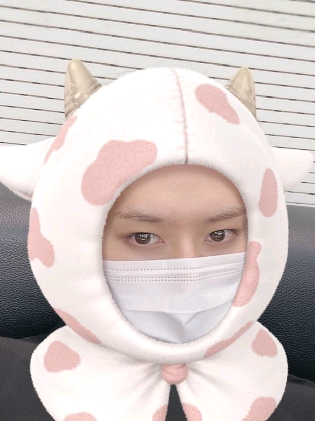 @minhoco 🐰💯