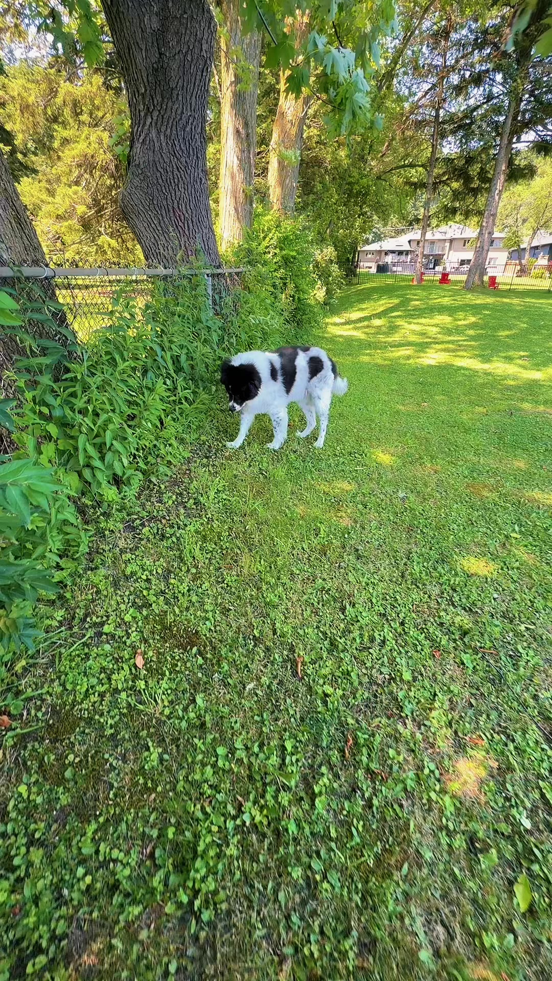 @SriDharshi🇨🇦🇩🇪🧿