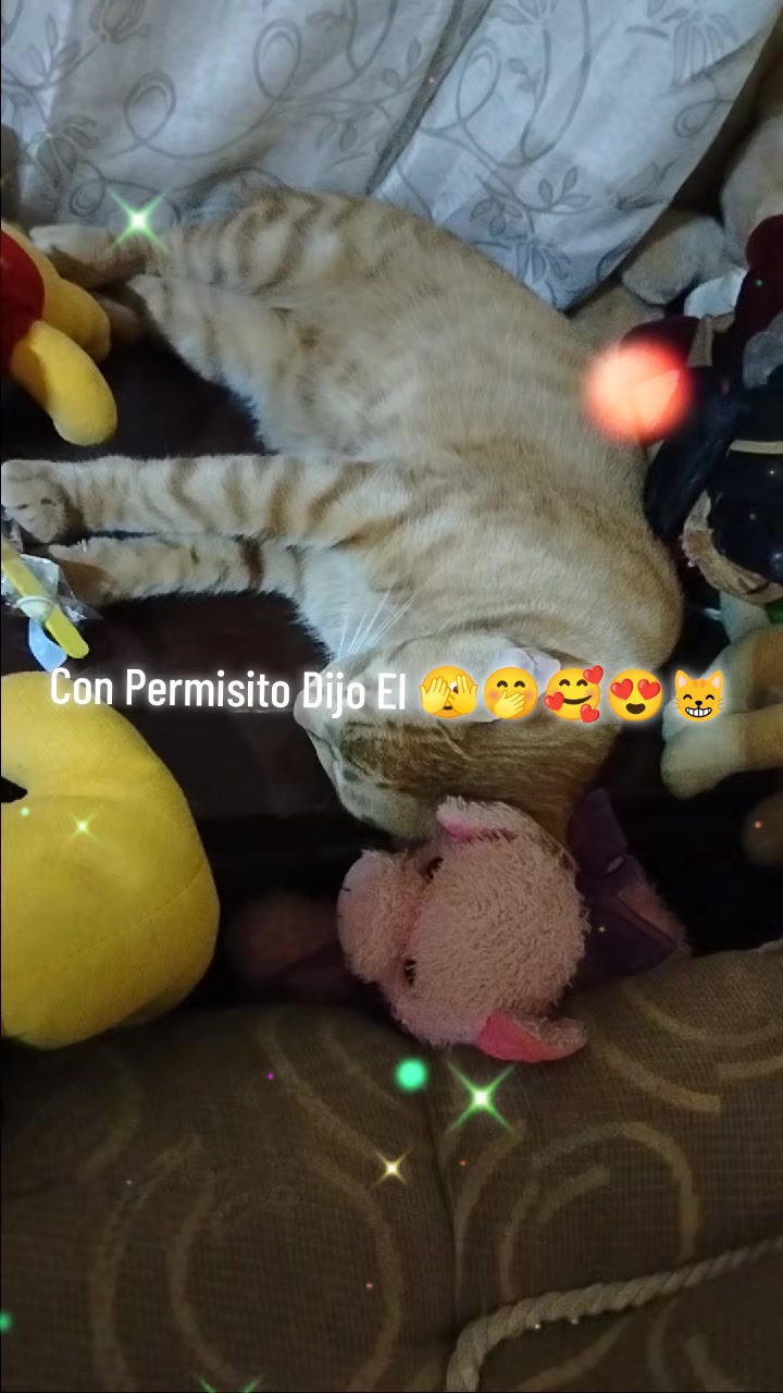 @Joseliin❤️