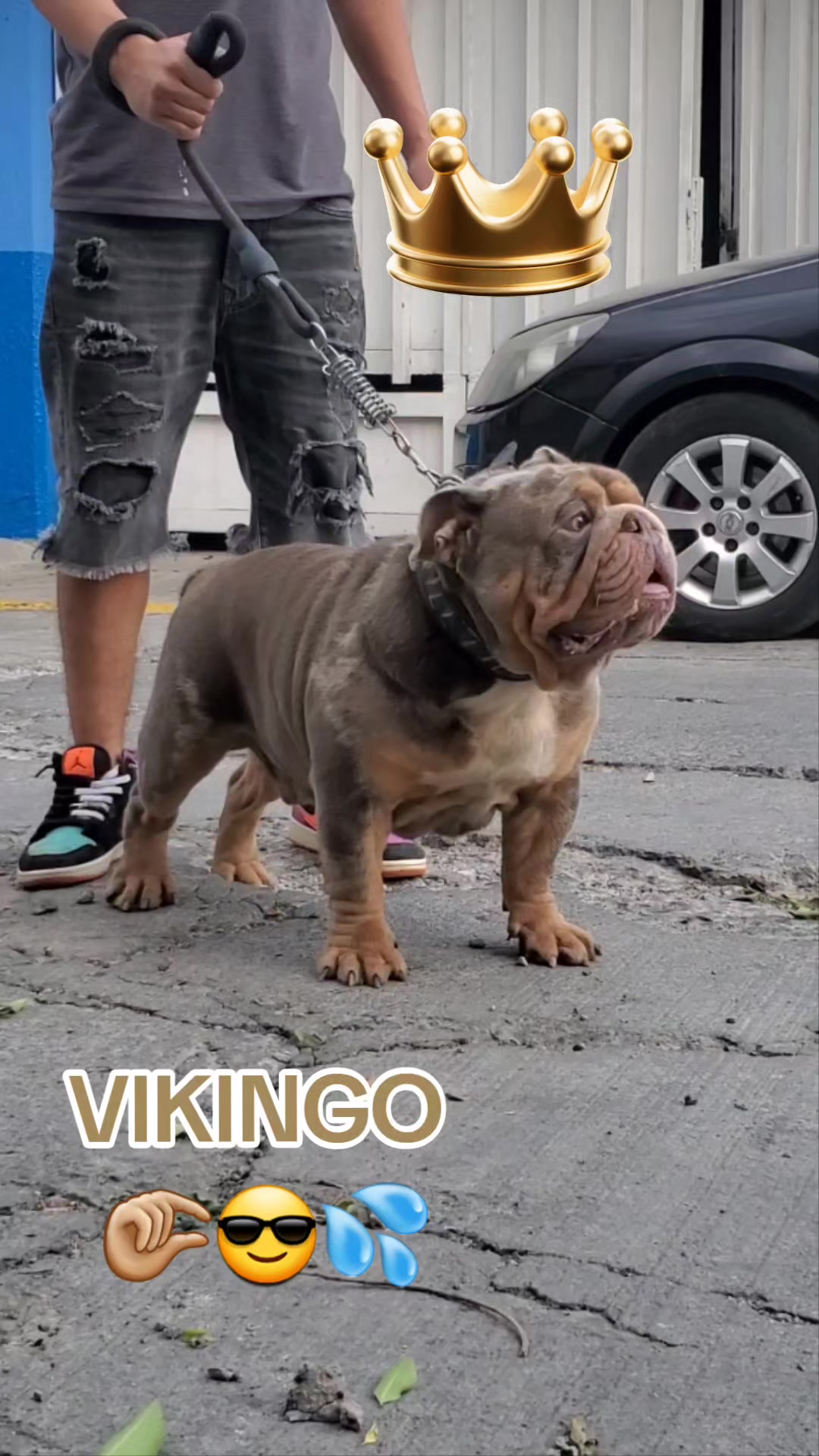@KrlozDZ
