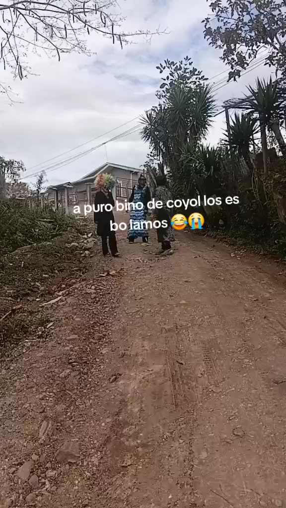 @colochito 504👻