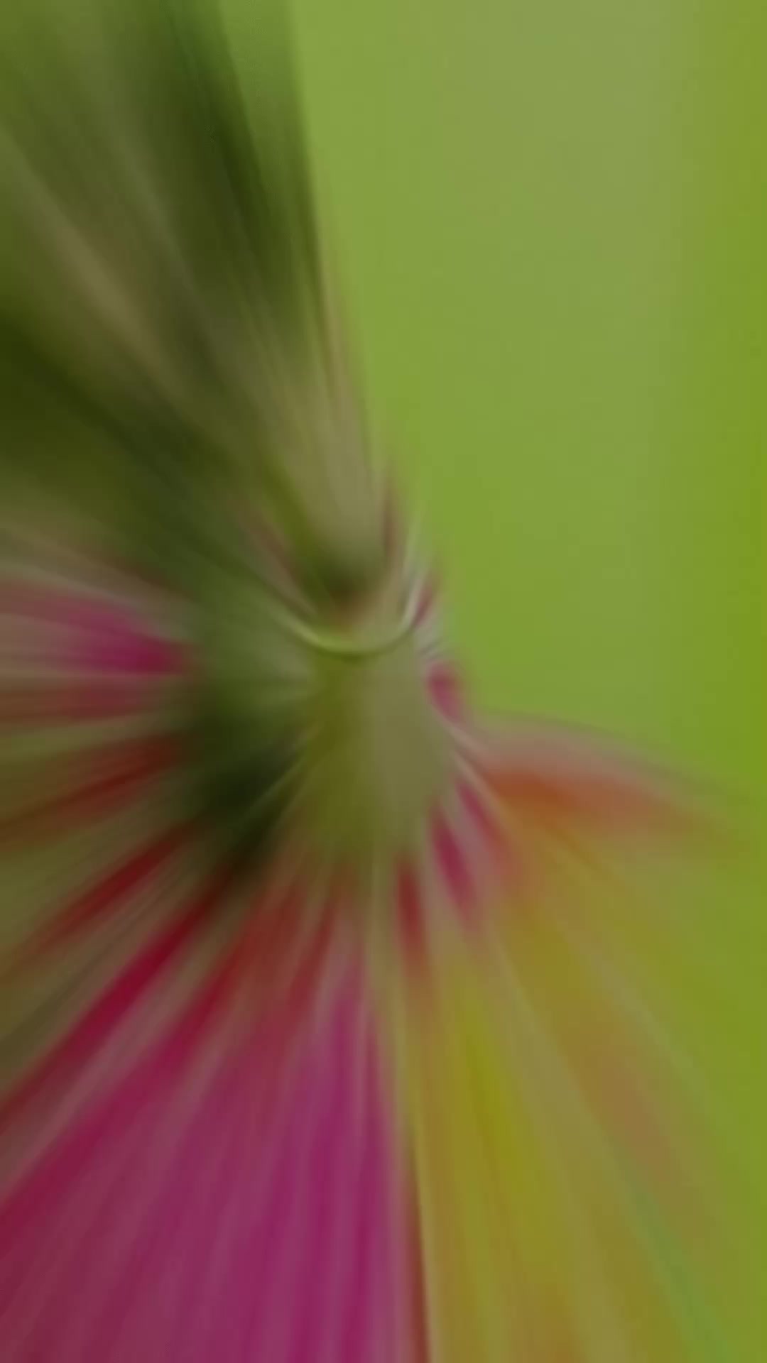 @@⎯͢⎯⃝☻☔︎মায়াবী☻♡᭄&bull;─