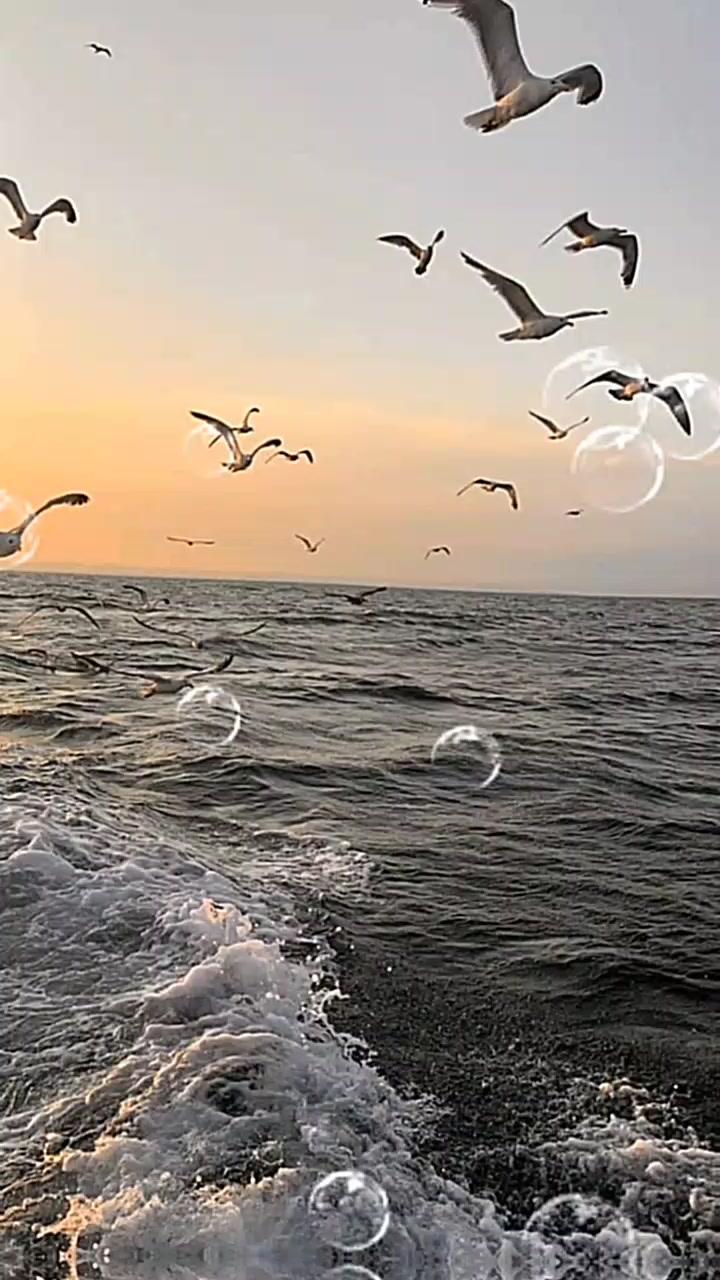 @Анюта