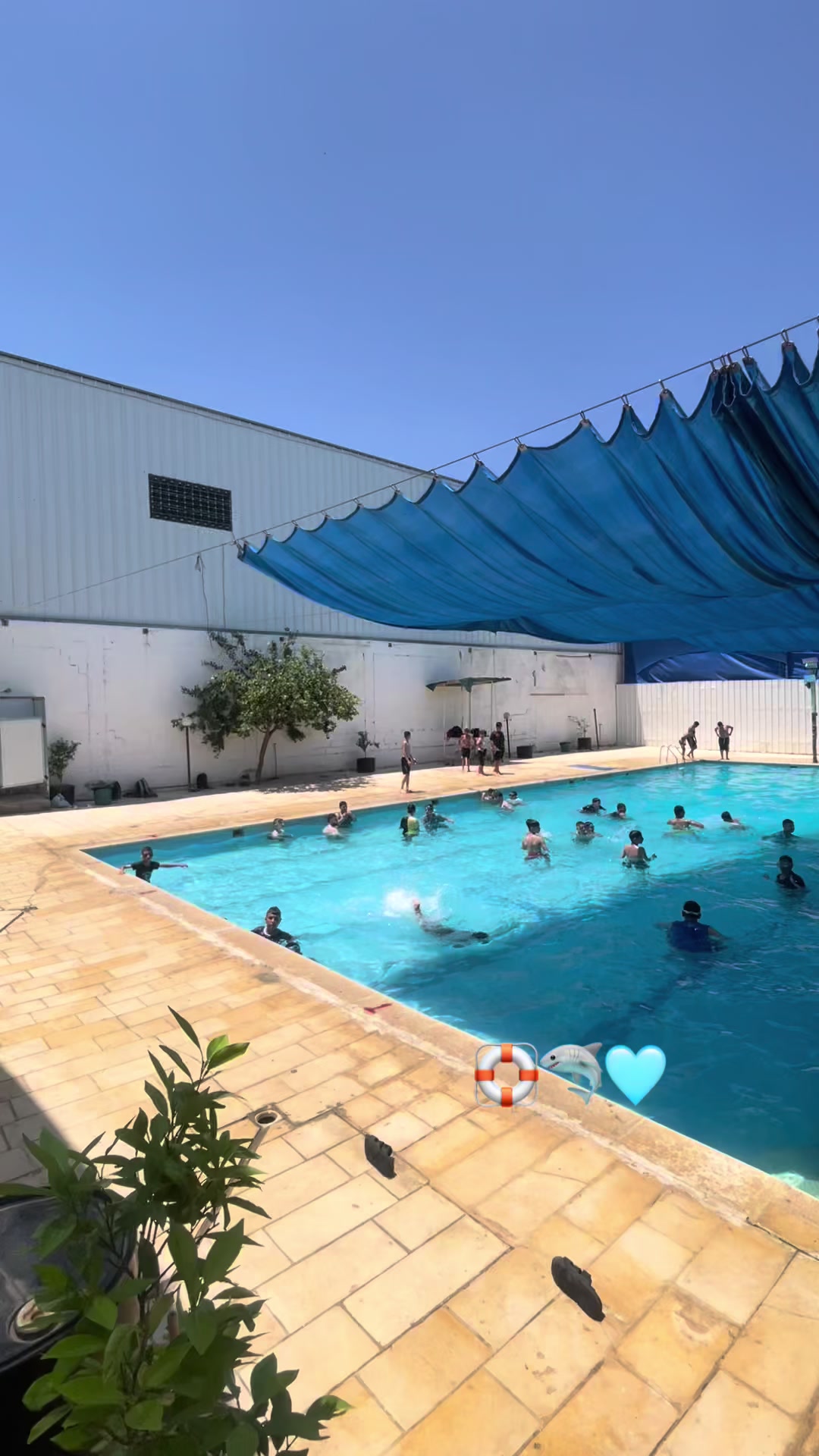 @مسبح الساحل 🏊🏻♂️🏊🏻♂️