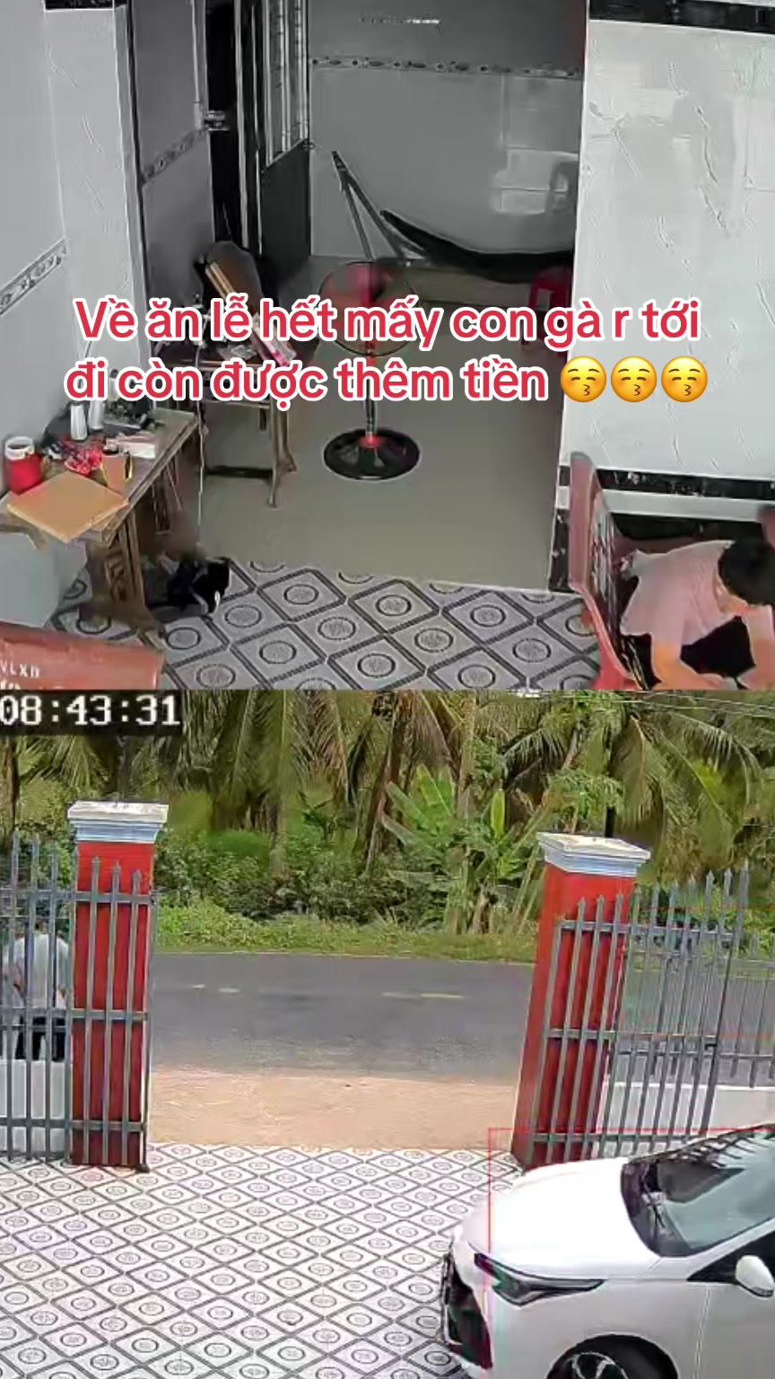 @HẢI