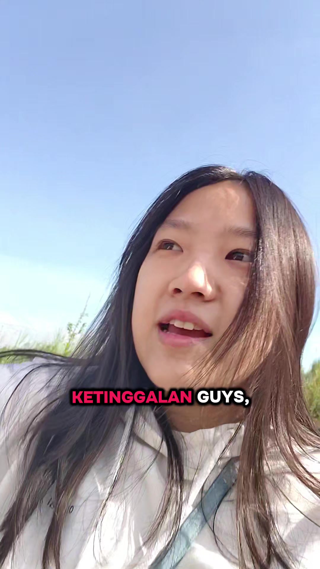 @grumpy cat