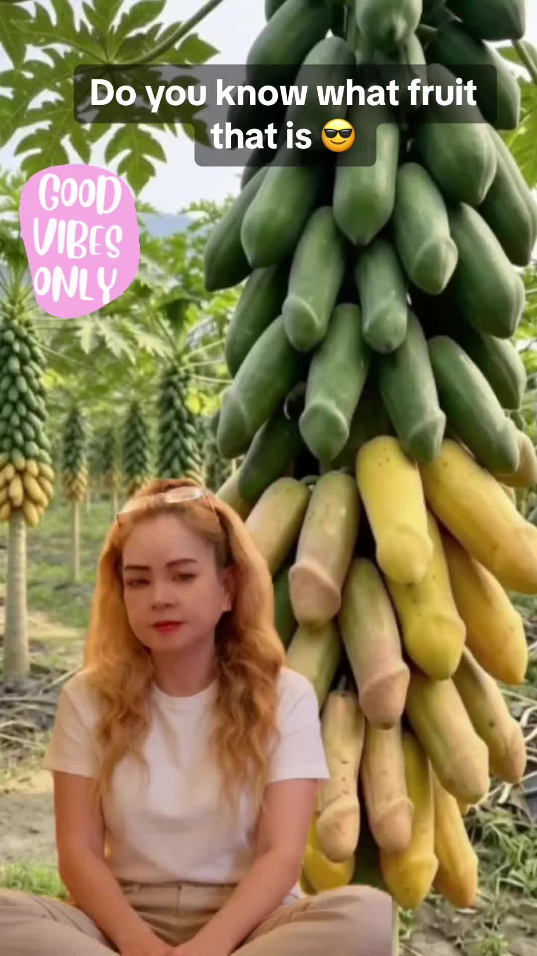 @maridi0357