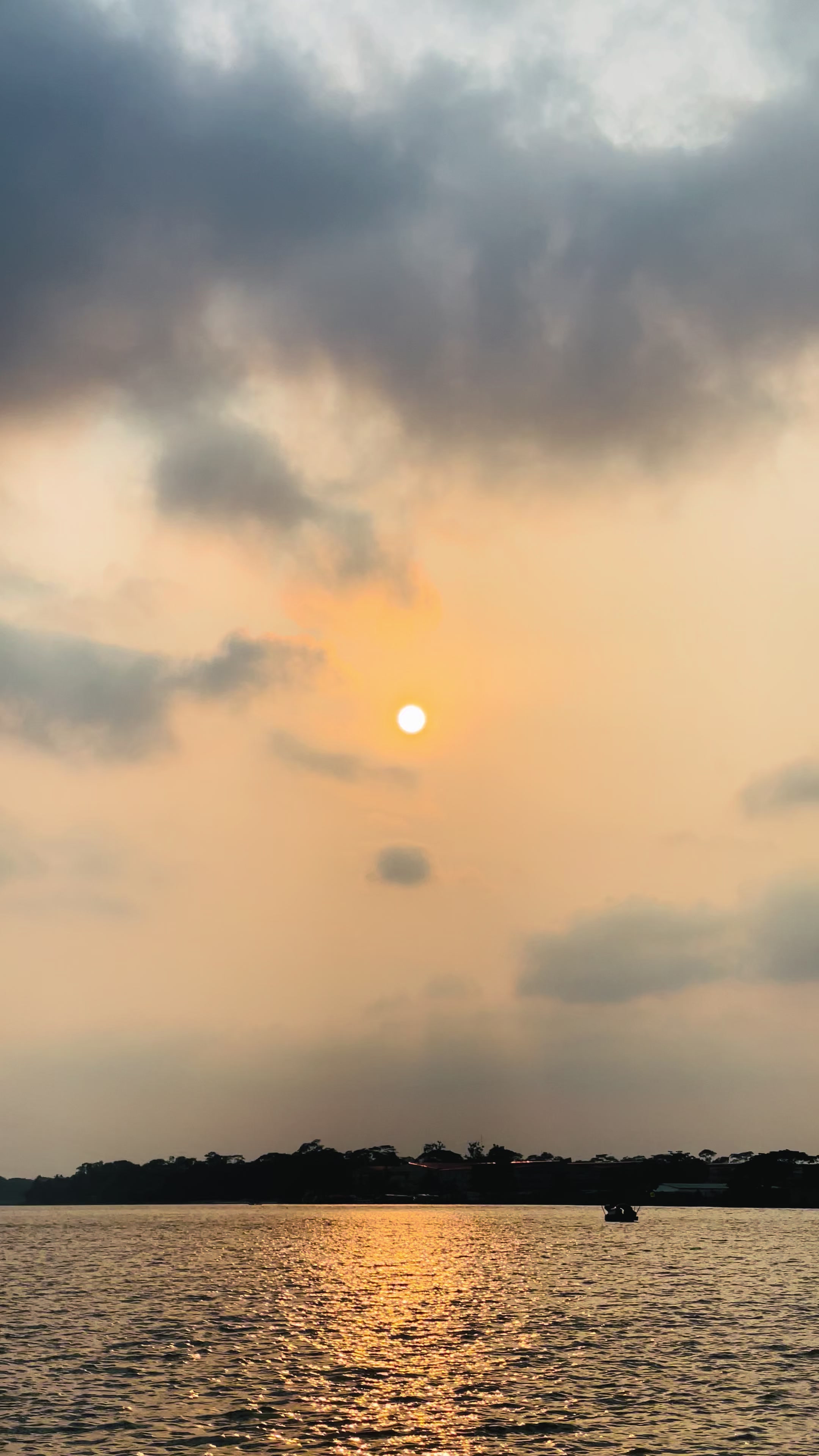 @jitu_ahmed2211
