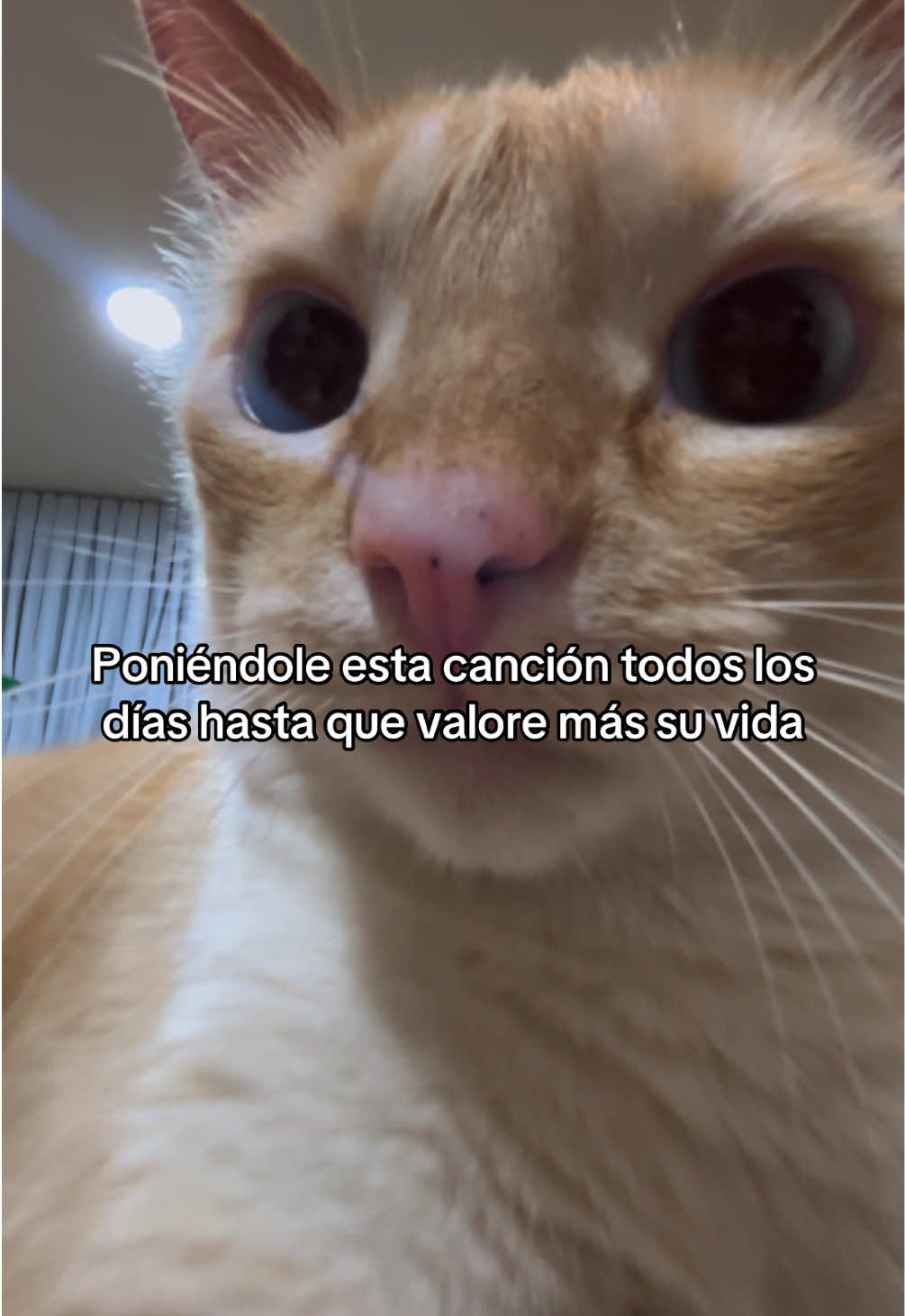 @Marcos Morales