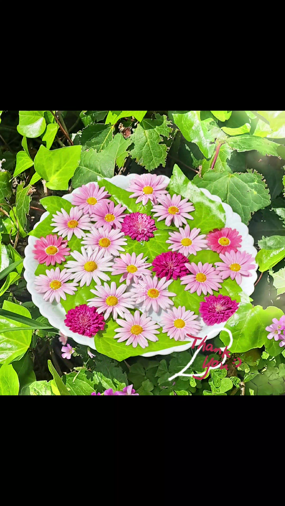 @🌼🎀まゆめ🌻🍭