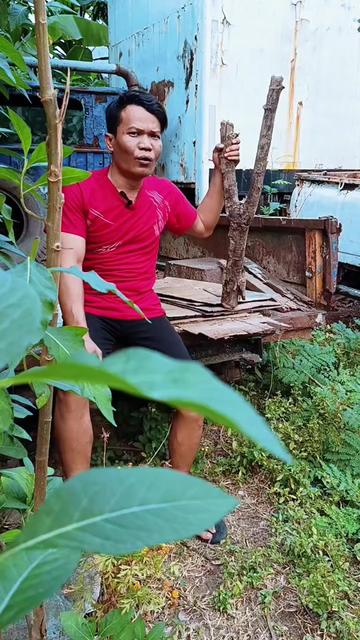 @Tokke Rongit Sihotang